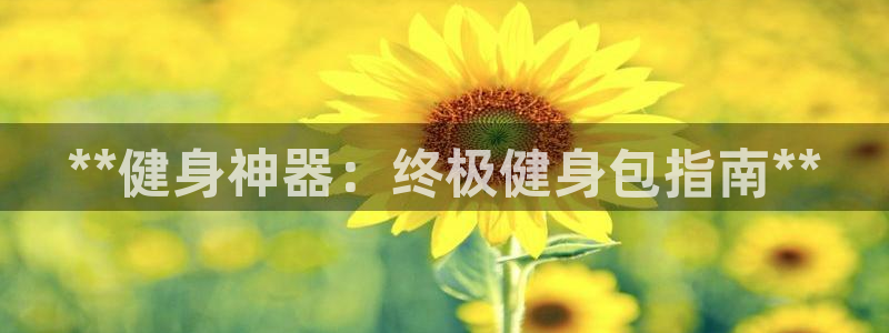 龙8老虎机网络游戏