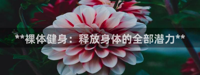 龙8国际怎么样
