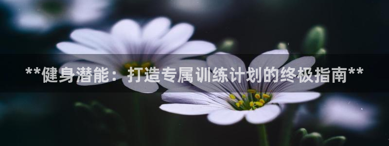 龙8国际老虎机官方