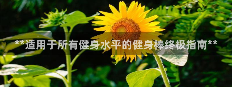 国际龙8官网pt客户端