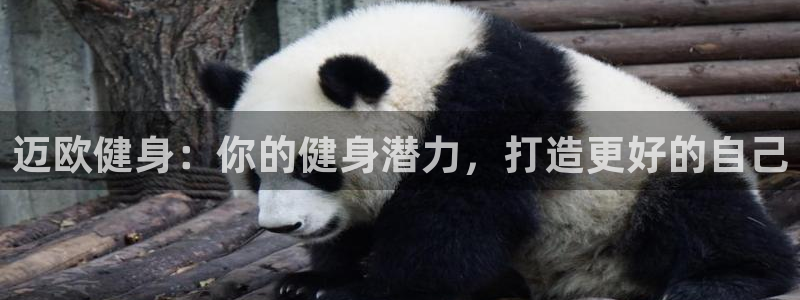 龙8国际游戏官方进入的介绍