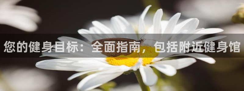 龙8国际app下载手机版