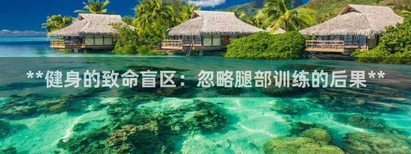 龙8 国际