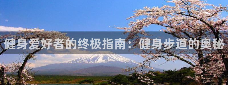 龙8国际试玩