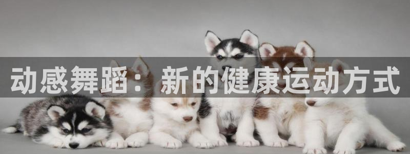 龙8国际.apk