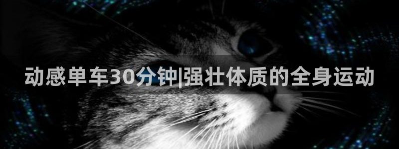龙8国际手机官网下载