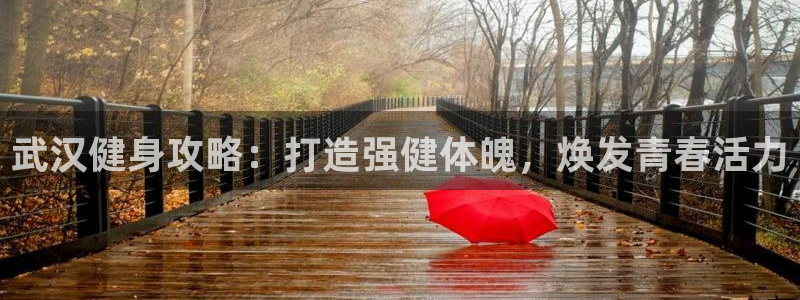 龙8国际app下载安装