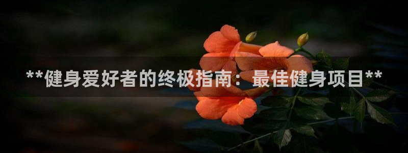 龙8国际手机网页版
