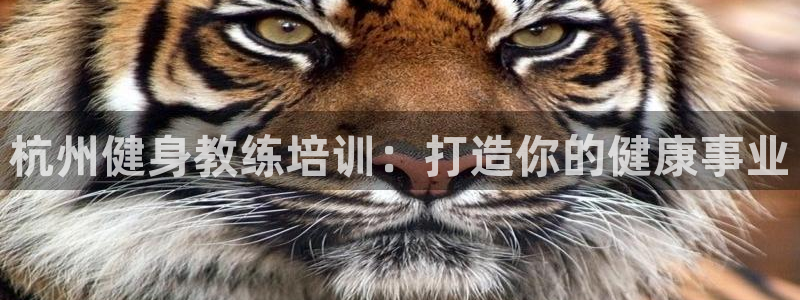 龙8国际的官方网站