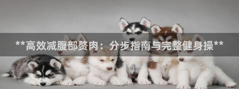 龙八国际娱乐官网app