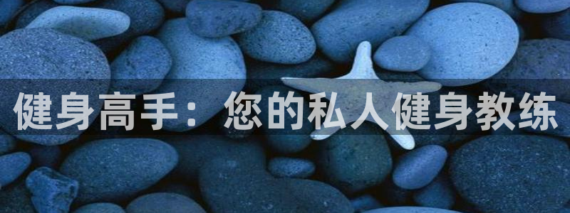 龙8国际免费试玩