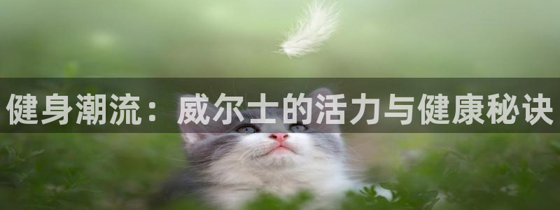 龙8国际害死多少人