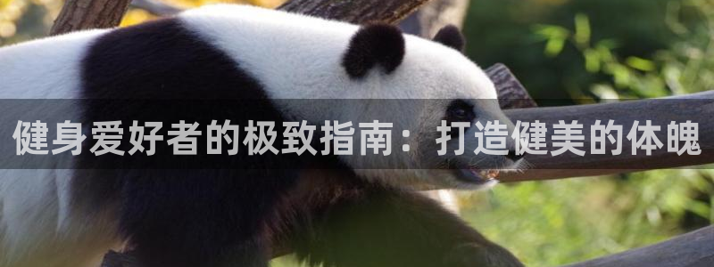 龙8国际游戏最新资讯