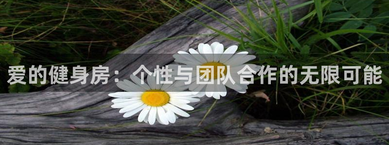 龙8国际官网娱乐