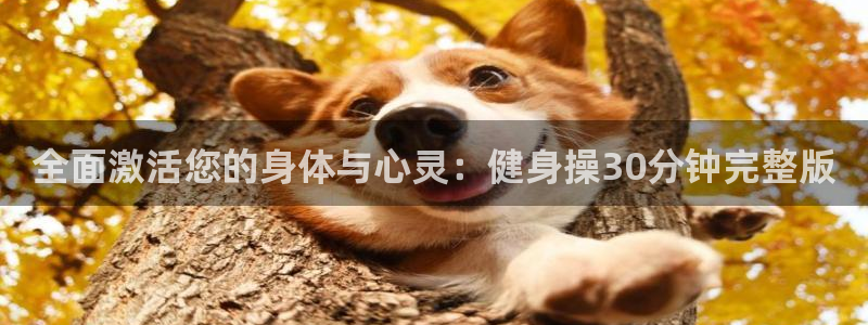龙8国际龙8官方