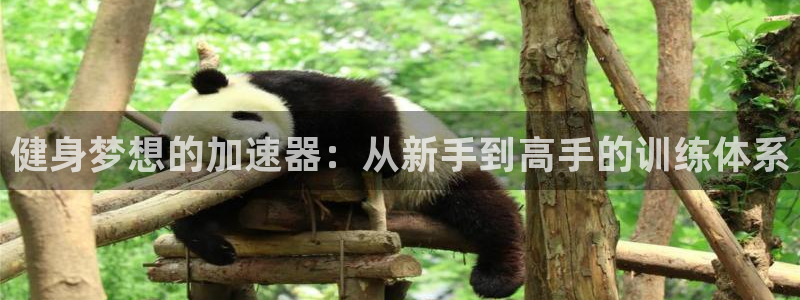 龙8国际最新官网