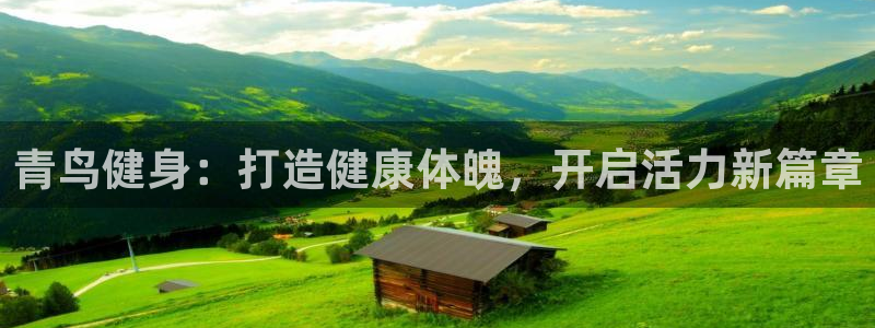 龙8国际备用