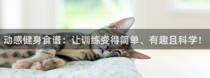 龙8国际官网 点此进入