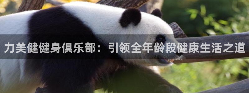 龙八国际网页