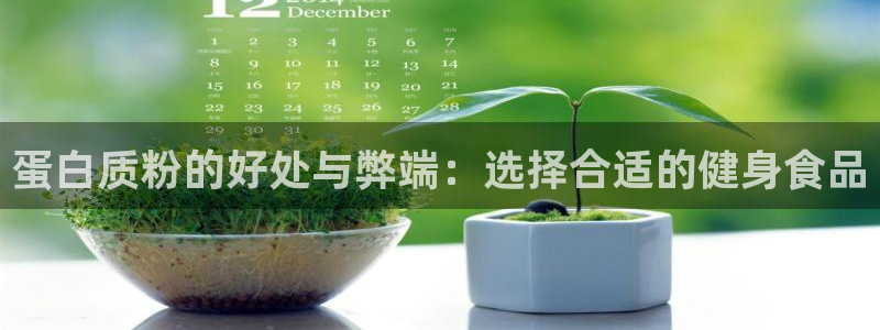下载龙8国际