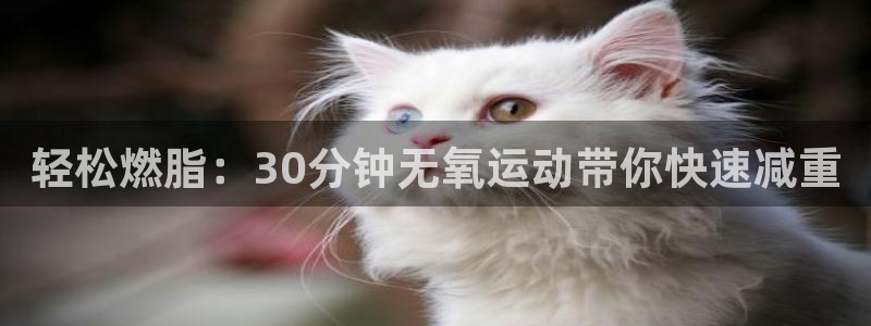 龙8国际官网版玩法