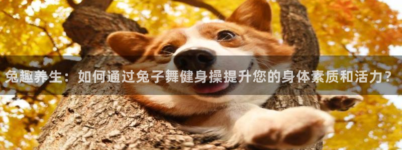 龙8国际官网 点此进入