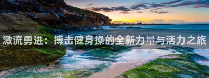 龙八国际网页