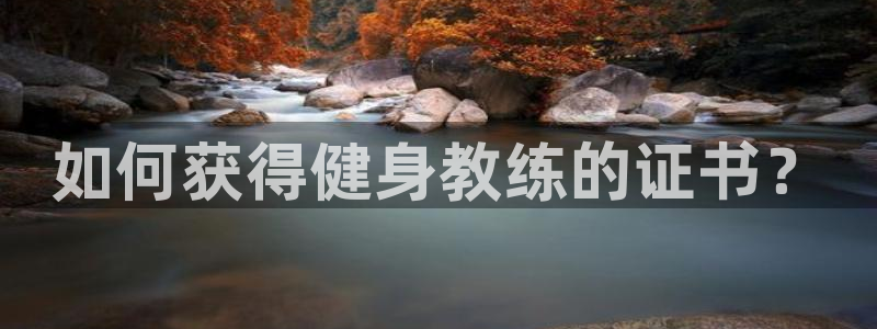 龙8国际-我的