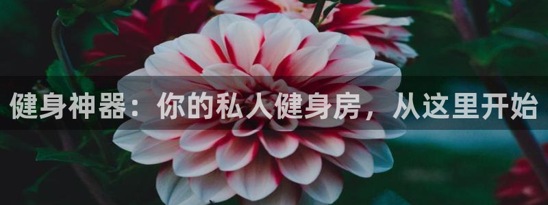 龙8国际app官网下载