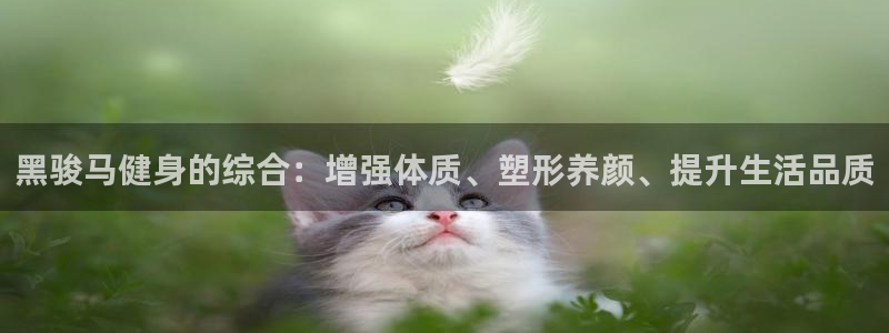 龙8游戏官方网站z