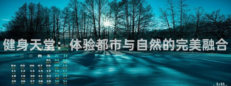 龙8国际手机登