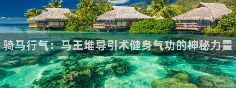 龙8国际网页版