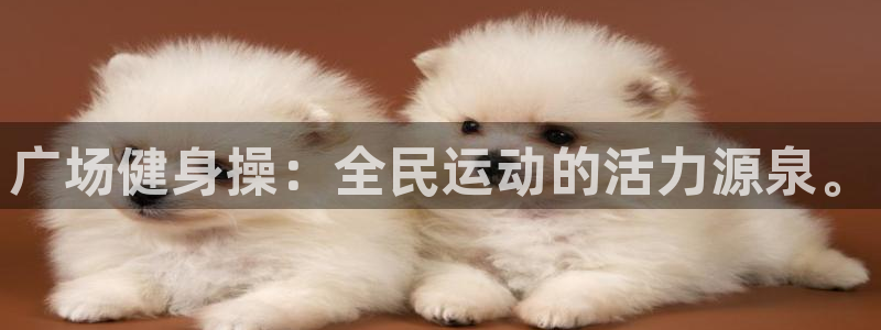 龙8国际黑吗