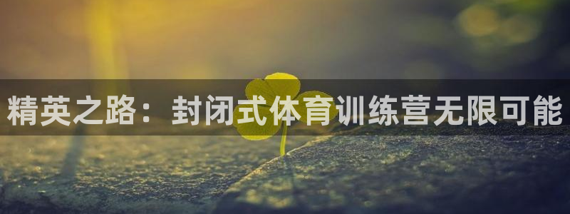 国际龙8官网pt客户端