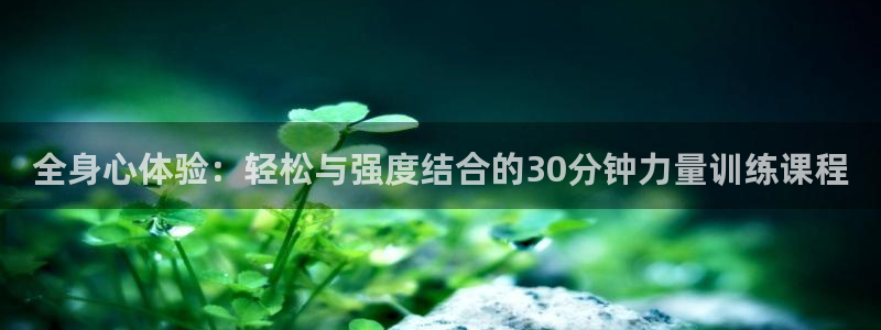 龙8国际app下载安装