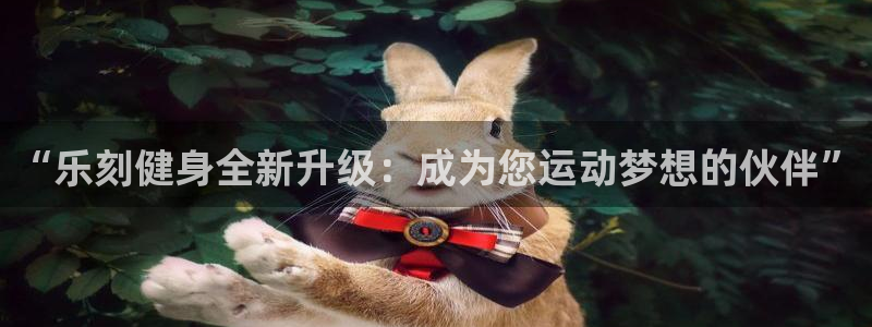 龙8国际怎么进不去了
