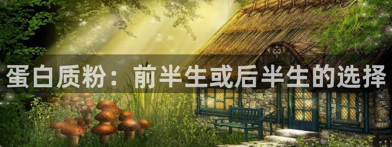 龙8棋牌官网