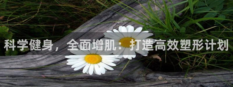 龙8国际黑吗