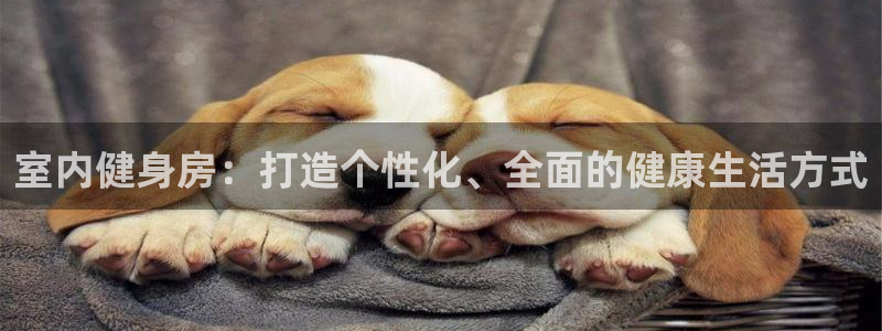 龙8国际中国官方网站