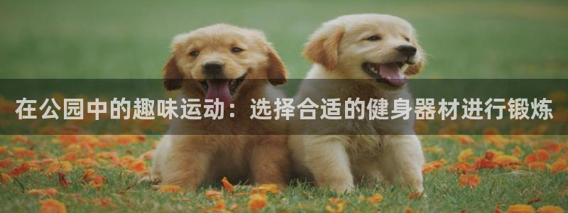 龙8国际线上