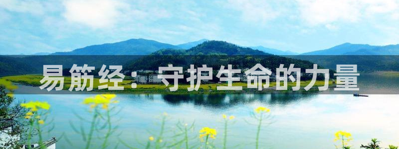 龙8国际游资如何