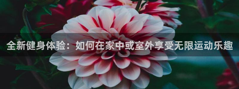 龙8国际平台官网
