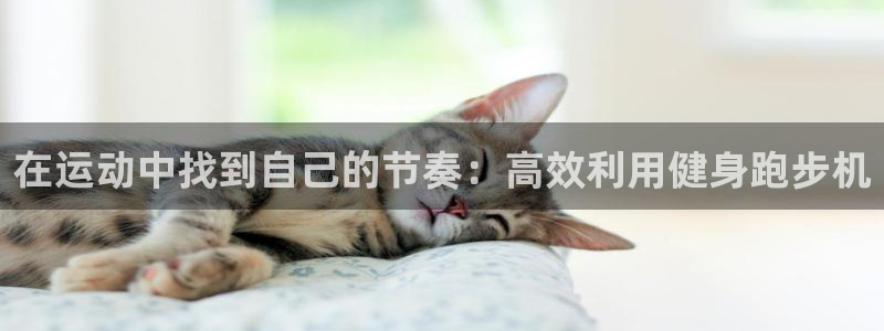 龙8国际电子游戏
