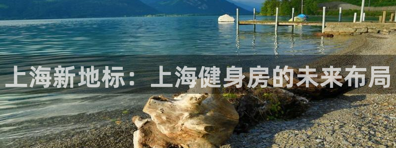 龙八国际娱乐平台网站