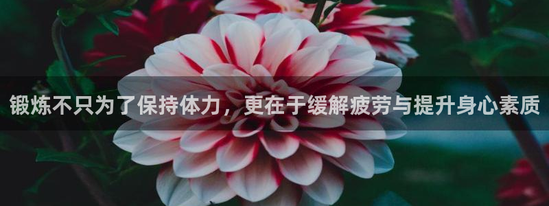 龙8国际玩家