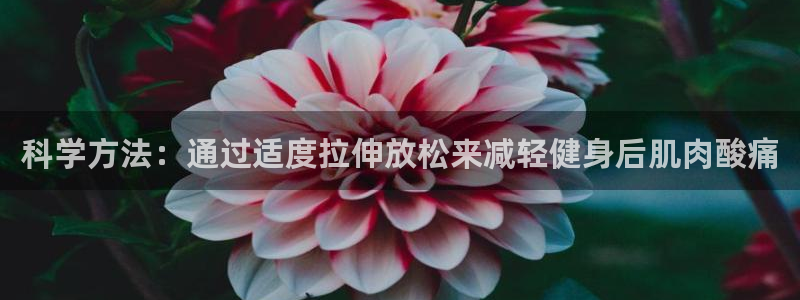 龙8国际官网