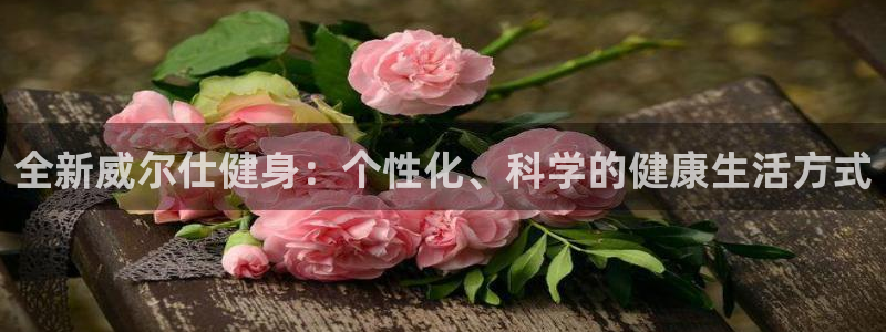 龙8国际手机登