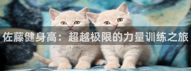 龙8国际的漏洞