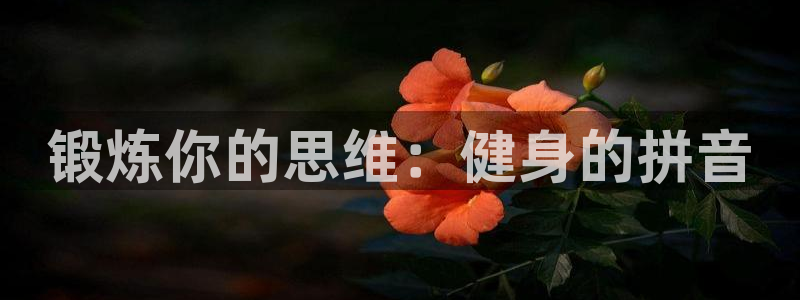龙8国际官网版