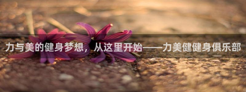 龙8国际唯一